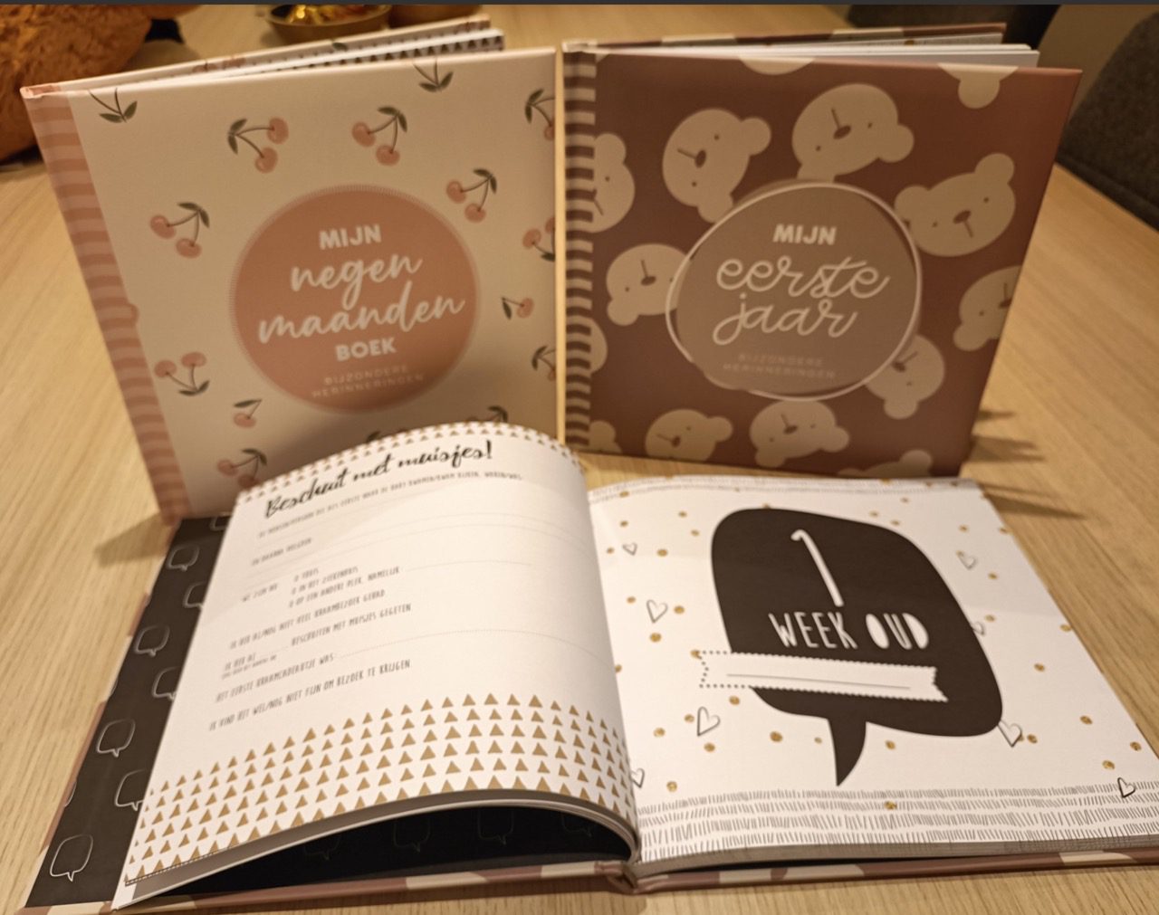 Mijn eerste levensjaar of eerste negen maanden boek 1 Mijn eerste levensjaar of eerste negen maanden boek