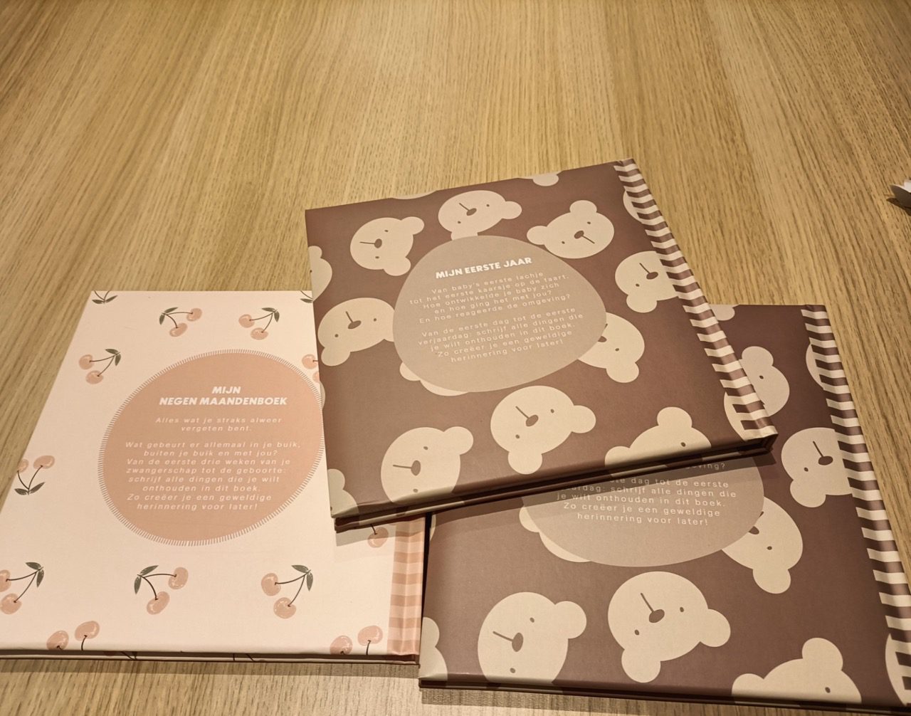 Mijn eerste levensjaar of eerste negen maanden boek 2 Mijn eerste levensjaar of eerste negen maanden boek - Image 2